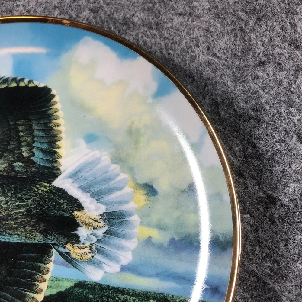Vintage Save The‎ Eagle Proud And Free Multicolor Porcelain Plate U2357